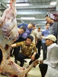 Ketua KPPU RI, DR. Syarkawi Rauf, memeriksa daging sapi