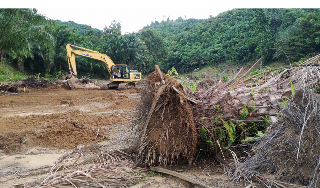 PT. CAS Diduga Lakukan Penyerobotan Lokasi Warga di Mateng