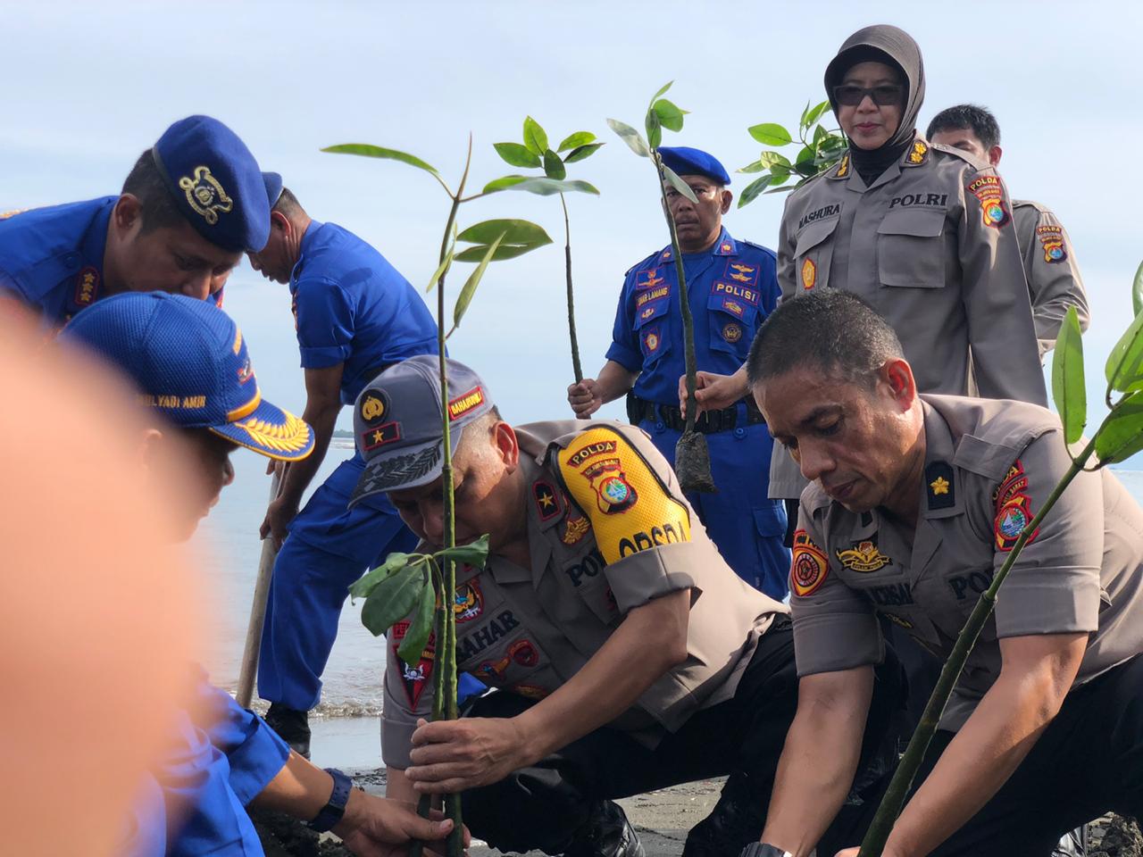 Kapolda : Tanamlah Pohon Setulus Hati