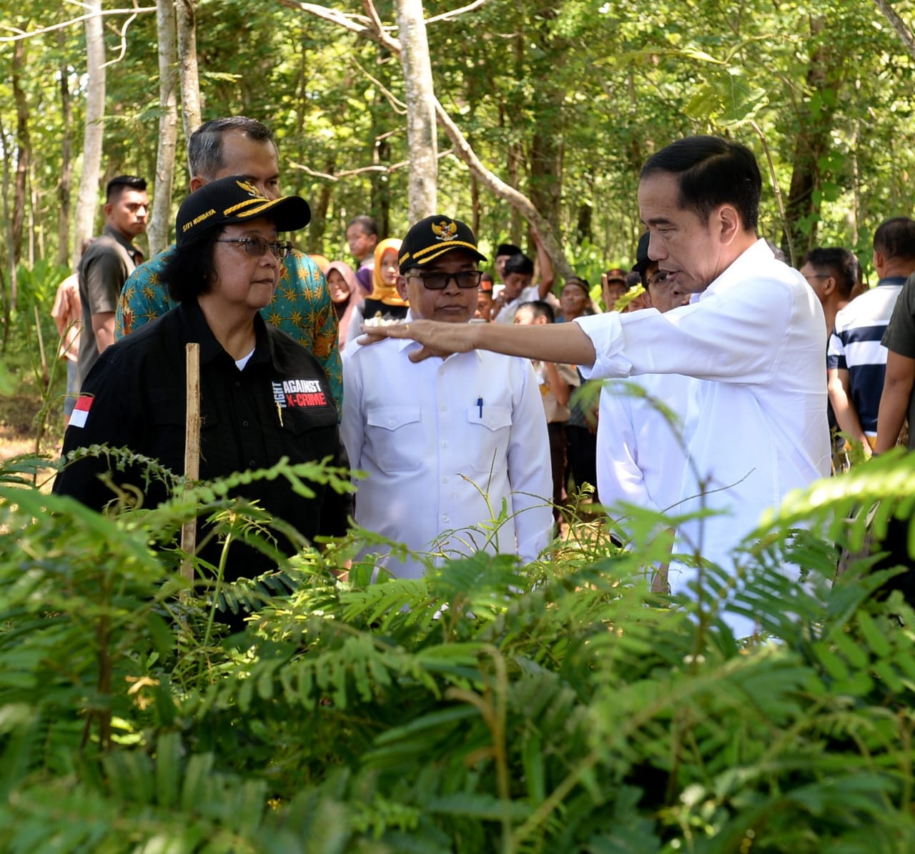 Revitalisasi Lahan Kritis di Daerah Tangkapan Air Waduk Gajah Mungkur