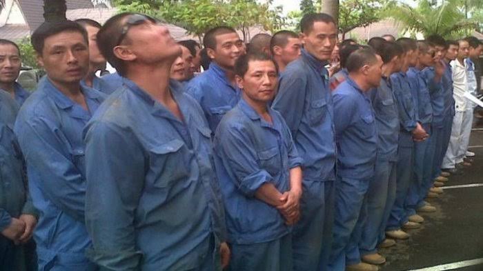 Buntut Viral Video WNA, Kemnaker Usir 49 TKA Ilegal Asal Tiongkok di Sultra
