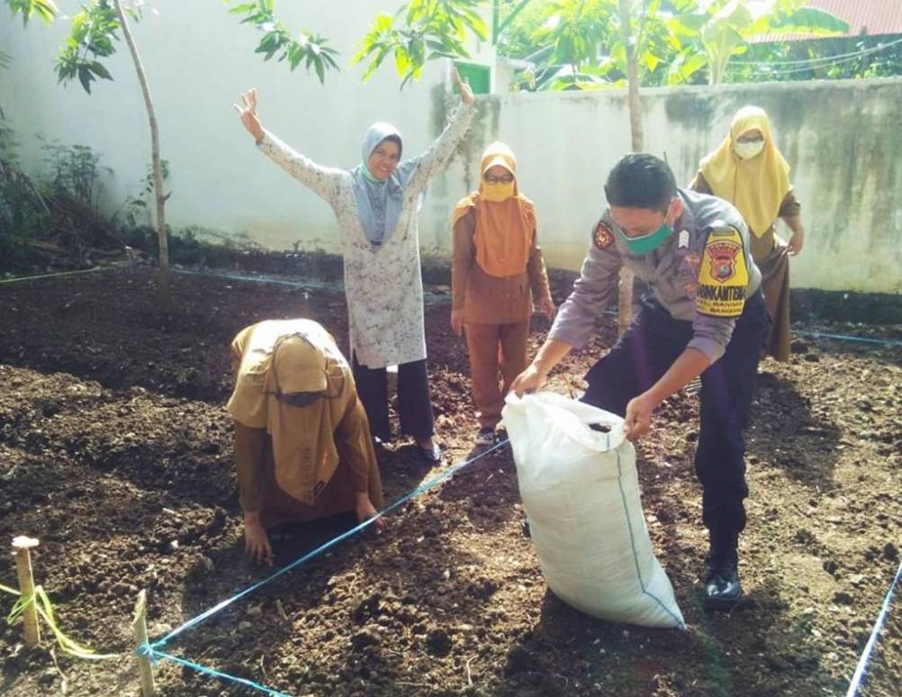 Dukung Ketahanan Pangan, Bhabinkamtibmas Polres Majene Bantu Garap Lahan Pertanian Warga
