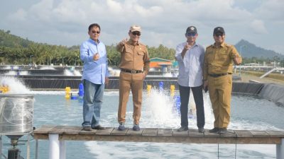 Dorong Ekonomi Rakyat Melalui Tambak Udang