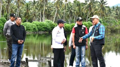 Pemprov Buka Peluang Investasi Tambak Udang Bagi Para Investor