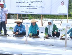 Pemprov Sulbar Jaga NTP Melalui Gerakan Sejuta Tanam Cabai