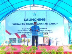 Hari Ini Pemprov Sulbar Launching Gerakan Sejuta Tanam Cabai