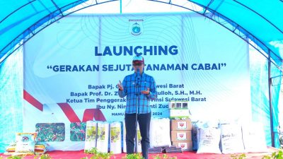 Hari Ini Pemprov Sulbar Launching Gerakan Sejuta Tanam Cabai