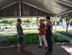 DTPHP Sulbar Distribusi 10 Ribu Bibit Cabai ke Korem 142 Tatag