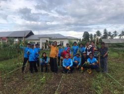 UPTD BPHMT IB DTPHP Sulbar Masifkan Penanaman HPT