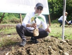 Kepala Bapperida dan Staf Ikut Jalan Santai dan Tanam Pohon