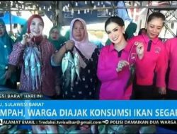 Blusukan ke Pasar TPI, Ketua Bhayangkari Sulbar Ajak Masyarakat Penuhi Gizi dengan Ikan Segar