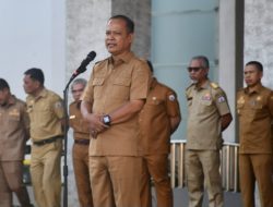 Dinas Transmigrasi Sulbar Komitmen Terus Dukung Program Gerakan Menanam