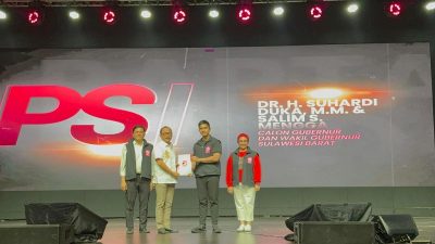 PSI Usung SDK-JSM