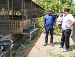 Bahtiar Diskusi Dengan Petani-Peternak di Tiga Titik di Polman
