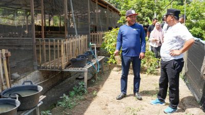 Bahtiar Diskusi Dengan Petani-Peternak di Tiga Titik di Polman