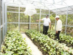 Bahtiar Beli 3.000 Bibit Aren di Polman