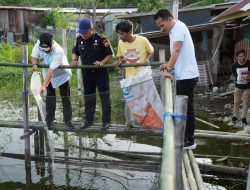 Bahtiar Serahkan Bantuan Bibit Nila, Sukun dan Cavendish