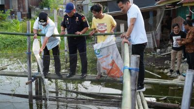 Bahtiar Serahkan Bantuan Bibit Nila, Sukun dan Cavendish