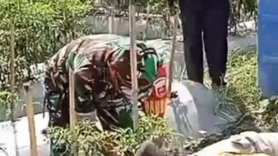 Sinergitas TNI/Polri di Bambalamotu Wujudkan Ketahanan Pangan