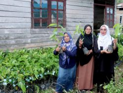 Bupati & Anggota DPR RI Salurkan Ribuan Bibit Kakao
