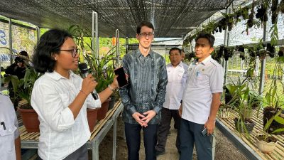 Pemprov Sulbar dampingi Konsul Australia dan Mahasiswa Saat Mengunjungi Etalase Anggrek