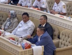 Wagub Sulbar Sampaikan Isu Strategis Pembangunan Daerah di Komisi II DPR RI