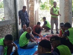 Masjid Raudhatussalihin Desa Topore Bagikan 300 Paket Kurban