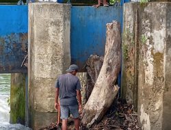 PUPR Sulbar Gercep Atasi Gangguan Irigasi di Bendung Bantalaka Pasangkayu