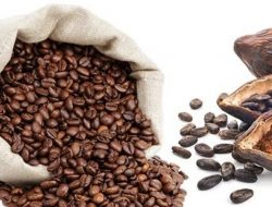 Pemprov Sulbar Siap Uji Mutu Biji Kopi dan Kakao