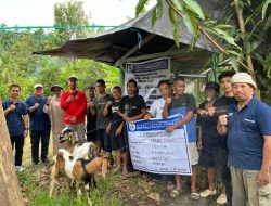 Inspektorat Sulbar Temukan Dua Kelompok Tani Belum Terima Bantuan Penuh