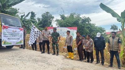 Kapolda Sulbar Hadiri Panen Raya Jagung Serentak