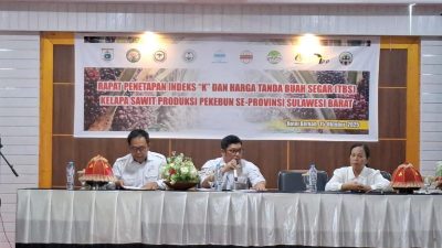Harga TBS Kelapa Sawit Sulbar Periode Oktober 2025 Sebesar Rp 3.258,32 Per Kilogram
