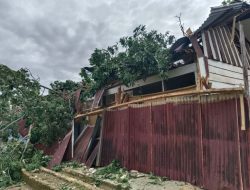 BPBD Sulbar Pastikan Penanganan Cepat Pohon Tumbang di Mamasa