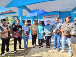 Ketua TP PKK Sulbar Serahkan Bantuan Bibit Cabai Keriting, Bibit Cabai Rawit dan Bibit Tomat