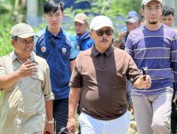 Diera SDK–JSM, Dinas TPHP Sulbar Catat 1.928 Kelahiran Sapi dari Program IB