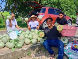 UPTD BBTPH DINAS TPHP Jadi Bukti Implementasi Pancadaya SDK–JSM