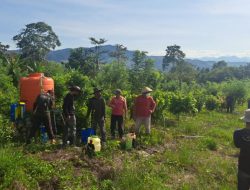 UPTD Balai Proteksi dan Perbenihan Lakukan Penyemprotan di Kebun Induk