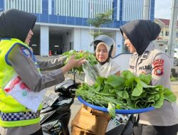 Panen Perdana Pekarangan Pangan Lestari, Ditlantas Polda Sulbar Bagikan 100 Paket Sayur-Mayur Gratis ke Pengendara Tertib