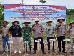 DTPHP Sulbar Hadiri Tanam Raya Jagung Serentak