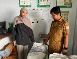UPTD BBTPH Sulbar Kirim Benih Jagung Komposit ke Medan