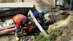 Damkar Sulbar Sisir Area Ular Piton yang Mangsa Ternak