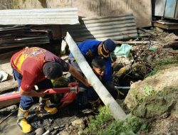 Damkar Sulbar Sisir Area Ular Piton yang Mangsa Ternak