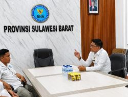Sulbar Dorong Regulasi dan Program Pencegahan Narkotika
