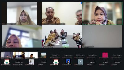 DPMPTSP Sulbar Ikuti Survei Pendahuluan Pengawasan Kemendagri 2026