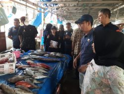 DKP Sulbar Edukasi Pedagang PPI Binanga Lawan Zat Kimia Berbahaya