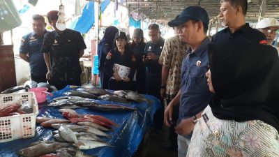 DKP Sulbar Edukasi Pedagang PPI Binanga Lawan Zat Kimia Berbahaya