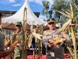 Kapolresta Mamuju Ikuti Panen Raya Jagung Serentak Kuartal II 2026 Bersama Presiden dan Kapolri