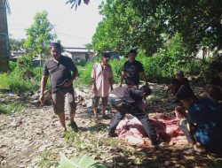 Masjid Ar Rahman Desa Boda boda Menyembeli 5 Ekor Sapi Kurban