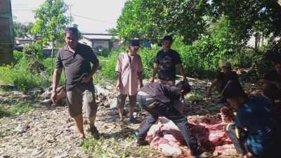 Masjid Ar Rahman Desa Boda boda Menyembeli 5 Ekor Sapi Kurban