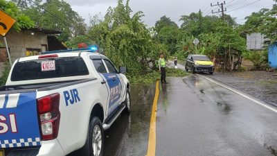 Sat PJR Ditlantas Polda Sulbar Evakuasi Pohon Tumbang di Jalur Poros Mamuju-Kalukku